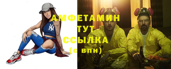 крисы Аркадак