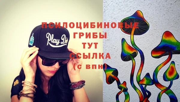 крисы Аркадак