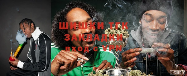 индика Армянск
