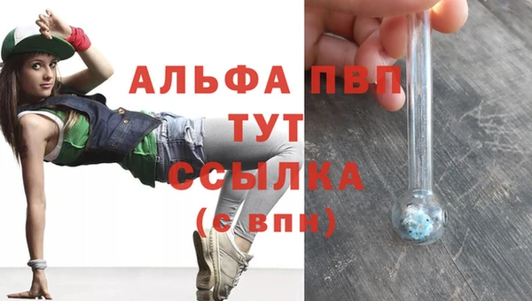 индика Армянск