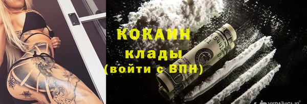 крисы Аркадак